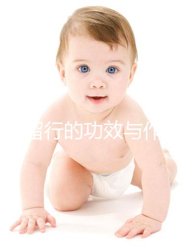 王不留行的功效與作用（王不留行治療前列腺炎）