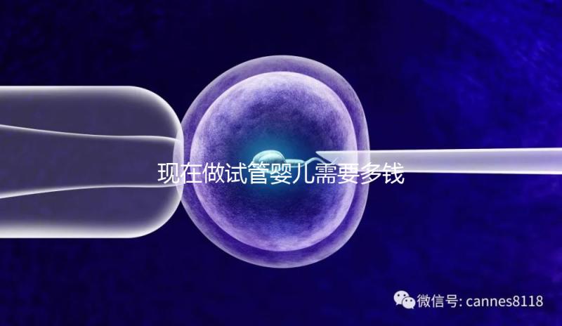 現(xiàn)在做試管嬰兒需要多錢(qián)（現(xiàn)在做試管嬰兒多少錢(qián)一次）