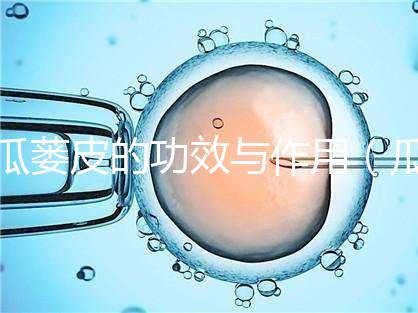 瓜蔞皮的功效與作用（瓜蔞皮的功效與作用與主治）