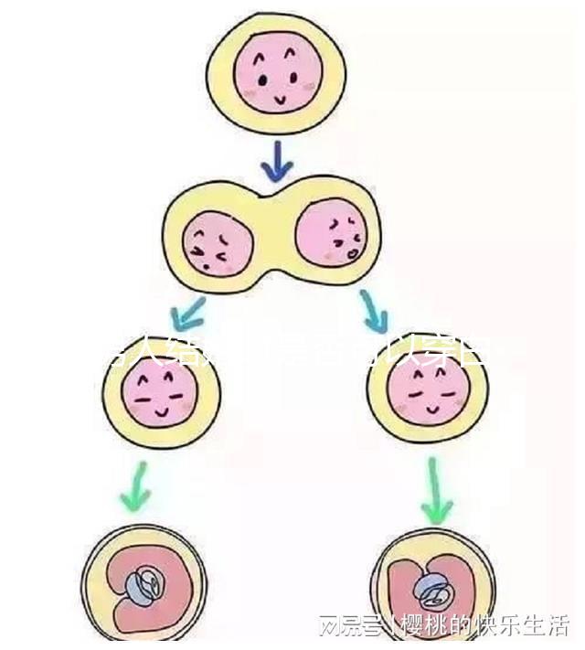 男人結(jié)婚時是否可以穿白色鞋子和白色西裝進(jìn)行分析,看看對誰不利