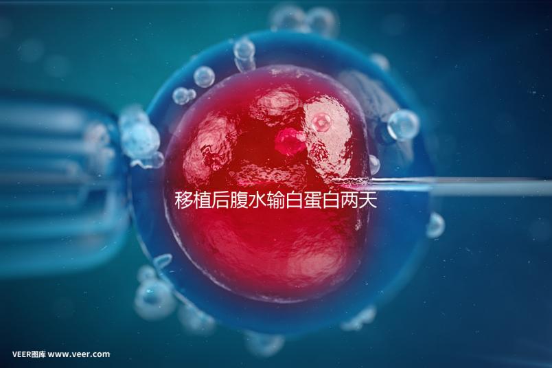 移植后腹水輸白蛋白兩天不好怎么辦？關鍵是找出發生了什么