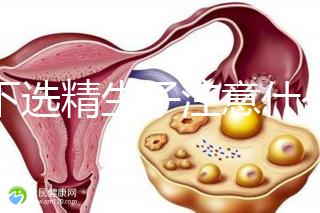 私下選精生子注意什么細節要早知，選擇正規機構最重要