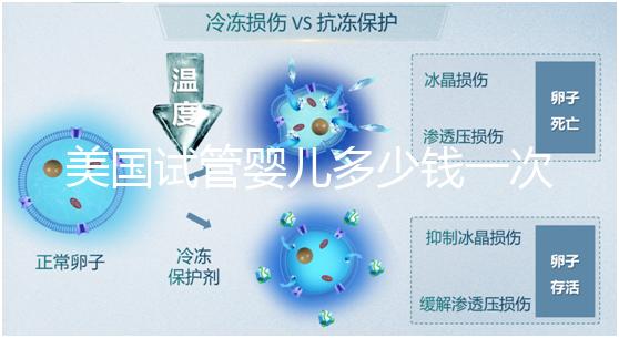 美國試管嬰兒多少錢一次？2025費(fèi)用清單與避坑指南！