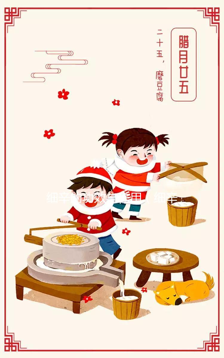 細(xì)辛的功效與作用（細(xì)辛去哪里的寒氣）