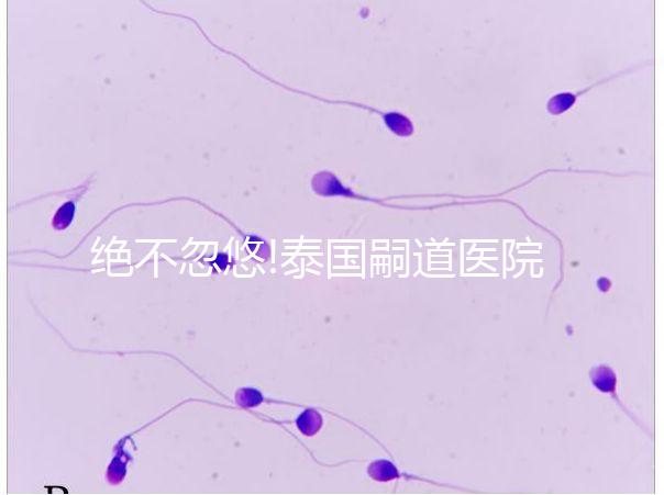 絕不忽悠!泰國嗣道醫(yī)院做試管嬰兒失敗多是這3個原因