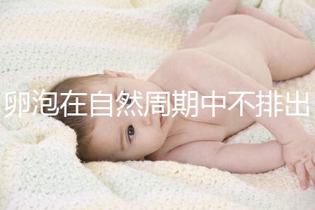 卵泡在自然周期中不排出可以移植快速get嗎？取卵好看嗎？