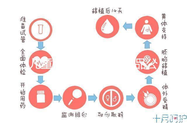 兒童牙膏十大國產(chǎn)產(chǎn)品公布，2024年哪些品牌看這個(gè)