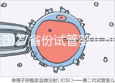 全國(guó)27省份試管嬰兒可報(bào)銷(xiāo)，這些城市醫(yī)保政策最新匯總