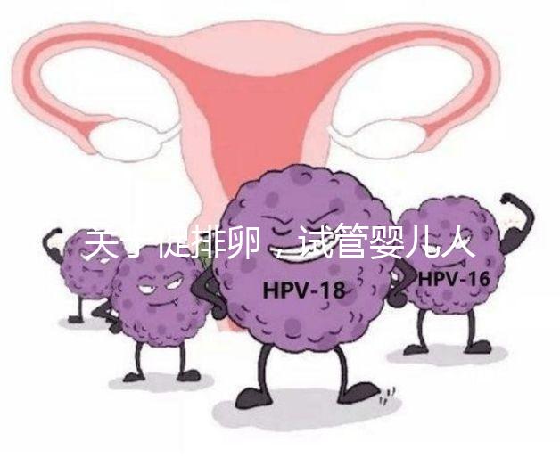 關于促排卵，試管嬰兒人群應該知道的 6 個真相