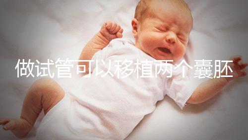 做試管可以移植兩個囊胚嗎？