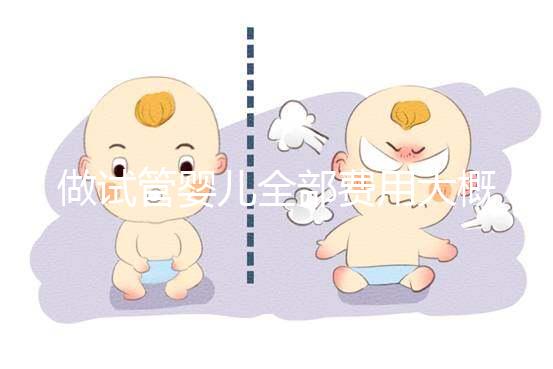 做試管嬰兒全部費(fèi)用大概是多少（做試管嬰兒全部費(fèi)用大概是多少錢(qián)）