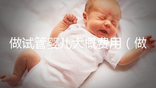 做試管嬰兒大概費(fèi)用（做試管嬰兒大概費(fèi)用多少）