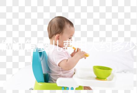 做試管嬰兒費用大約多少錢？