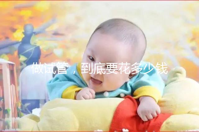 做試管，到底要花多少錢？?。?！