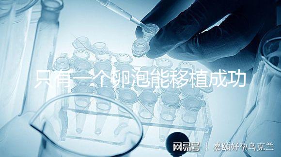 只有一個(gè)卵泡能移植成功嗎？別擔(dān)心!過來人告訴你好孕并不難