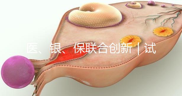 醫(yī)、銀、保聯(lián)合創(chuàng)新｜試管嬰兒保險套餐及銀行專項分期助孕在我院率先落地！