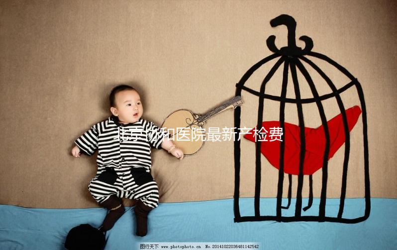 北京協(xié)和醫(yī)院最新產(chǎn)檢費(fèi)一覽，報(bào)銷比例高別錯過