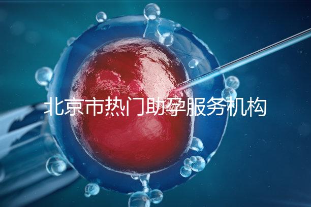 北京市熱門助孕服務(wù)機(jī)構(gòu)排名榜單！這三家性價(jià)比比較出眾！