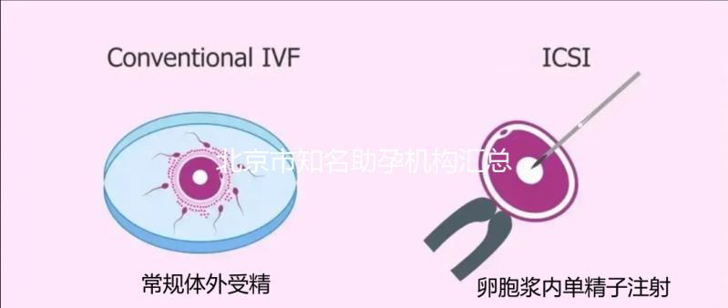 北京市知名助孕機構匯總，成功率多少一看便知！