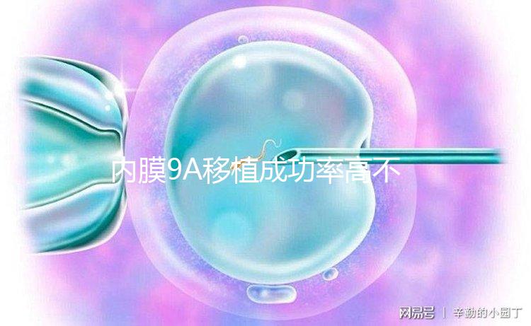 內(nèi)膜9A移植成功率高不高答案在這，誰說和9B相比更易著床