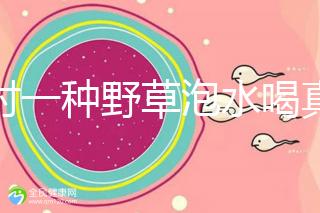 農(nóng)村一種野草泡水喝真能治便秘！配合這九種中草藥效果更好