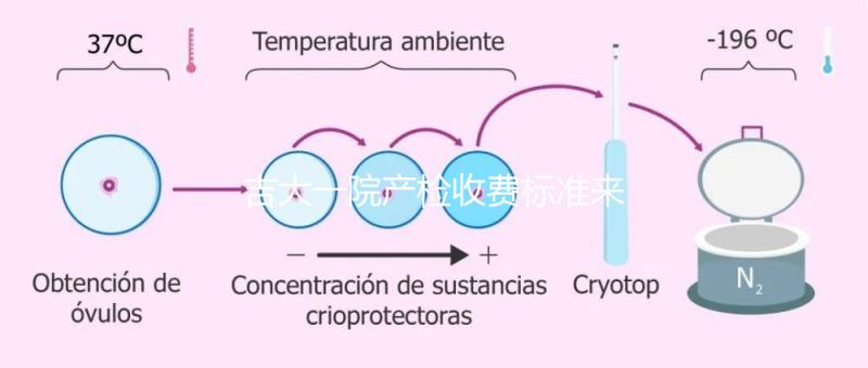 吉大一院產(chǎn)檢收費(fèi)標(biāo)準(zhǔn)來了！免費(fèi)項(xiàng)目和報(bào)銷比例一文說明