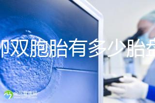 同卵雙胞胎有多少胎盤？1個or2個當(dāng)場講給你聽