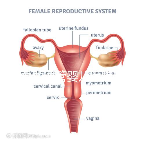 國(guó)內(nèi)做試管嬰兒醫(yī)院有哪些？附全國(guó)十大試管醫(yī)院排名