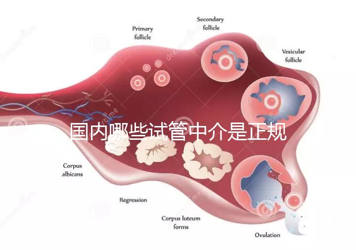 國(guó)內(nèi)哪些試管中介是正規(guī)的看過來(lái),可不止北京百匯這一家