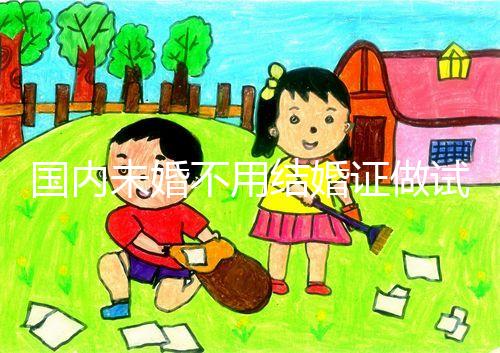 國內(nèi)未婚不用結(jié)婚證做試管機(jī)構(gòu)都有哪些？