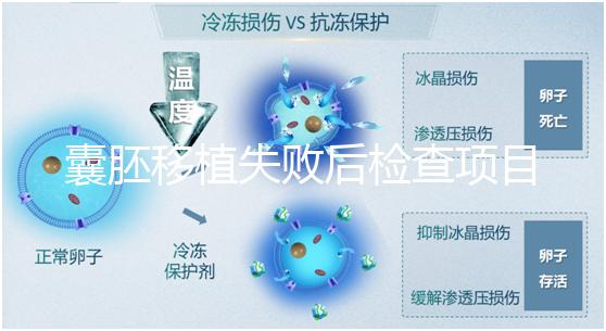 囊胚移植失敗后檢查項(xiàng)目，查免疫、內(nèi)分泌必不可少