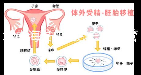 地中海貧血通過三代試管嬰兒真的可以生出健康的孩子嗎？