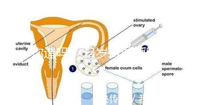 你造嗎？33歲做試管嬰兒成功率高不高要看這些報(bào)告