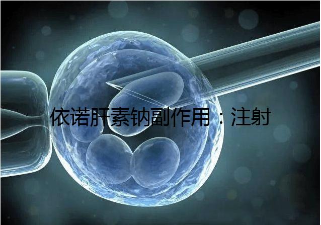 依諾肝素鈉副作用：注射過(guò)量可能會(huì)導(dǎo)致過(guò)敏