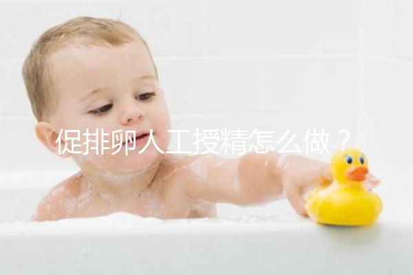 促排卵人工授精怎么做？4步操作過(guò)程戳這里了解
