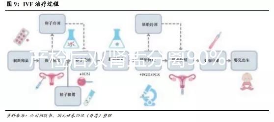 產檢后雙腎盂分離90%是男孩，或為孕期性別鑒定新高度