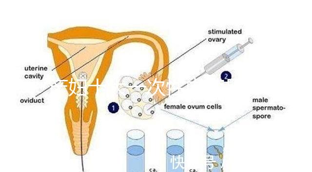 產婦十大一次性內褲品牌排行揭曉，全棉時代質量如何看這