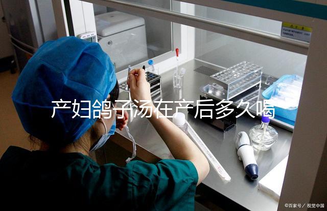 產(chǎn)婦鴿子湯在產(chǎn)后多久喝合適？網(wǎng)友看法各不一樣