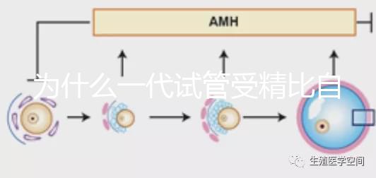 為什么一代試管受精比自然受精更解密？精子和卵子的質(zhì)量只有一個(gè)