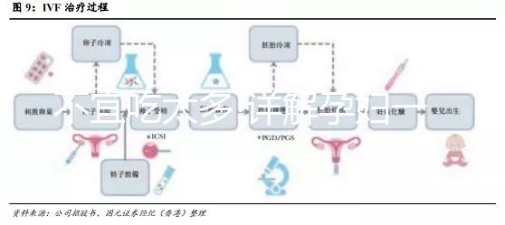 不宜吃太多!詳解孕婦一天能吃幾個(gè)油桃
