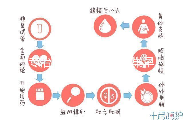 專治停經、絕經、卵巢早衰？利維愛的作用與適應癥分析
