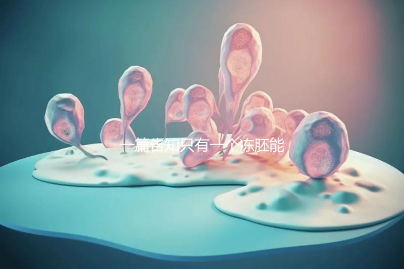 一篇告知只有一個凍胚能否移植，機會有多大做之前都看看