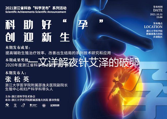 一文詳解夜針艾澤的破卵成功率，60s弄清跟絨促誰更高