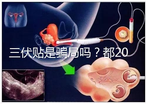 三伏貼是騙局嗎？都2024了，別人說它有害你還在深信不疑