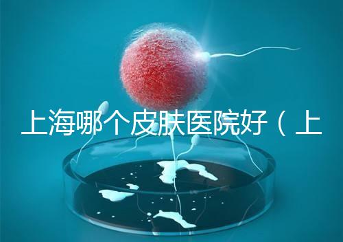上海哪個皮膚醫院好（上海中醫皮膚科哪家好）