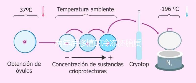 兩年后移植的冷凍胚胎質量差會怎么樣？有效的解決方案