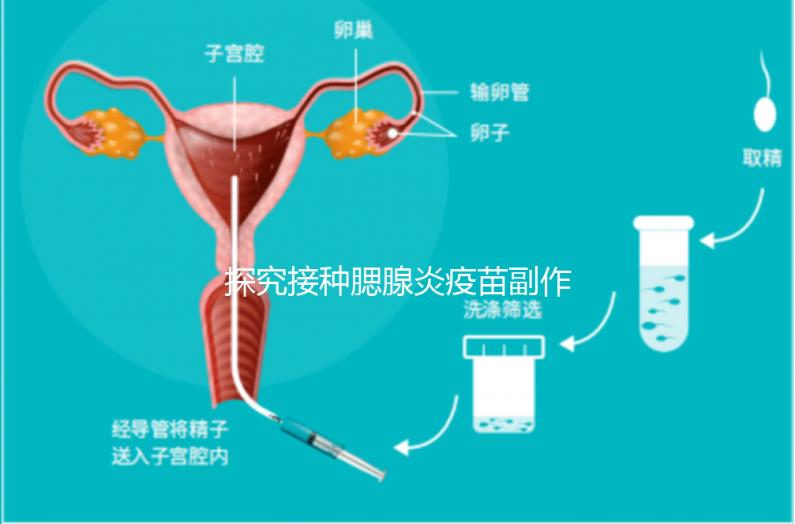 探究接種腮腺炎疫苗副作用,出現(xiàn)發(fā)燒用這3招應(yīng)對(duì)自如