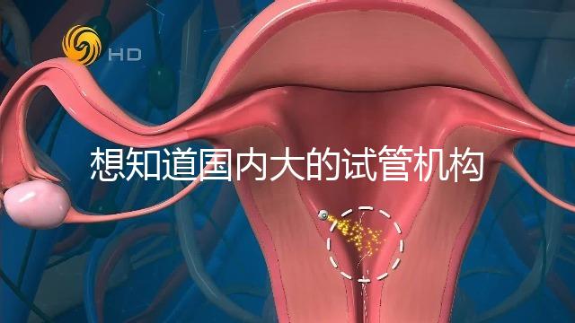 想知道國內(nèi)大的試管機(jī)構(gòu)，可以查到的那種？