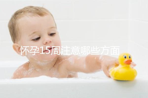 懷孕15周注意哪些方面的事項