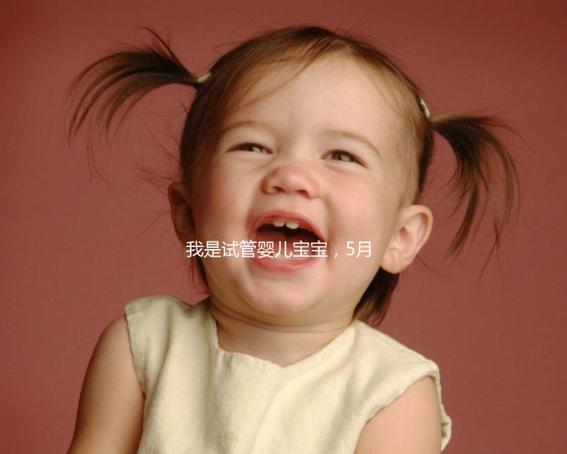 我是試管嬰兒寶寶，5月15號移植的囊胚，預產期是怎么算的 。。？